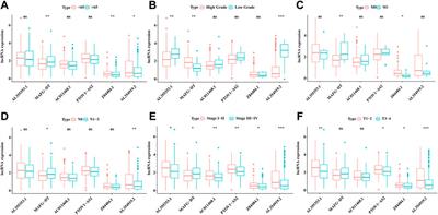 Recognition of Glycometabolism-Associated lncRNAs as Prognosis Markers for Bladder Cancer by an Innovative Prediction Model